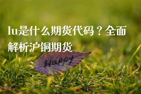 lu是什么期货代码？全面解析沪铜期货_https://m.yjjixie.cn_恒指期货直播间喊单_第1张
