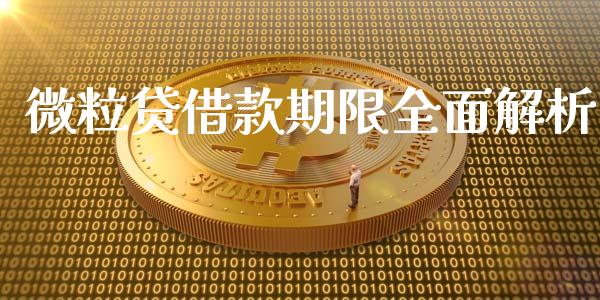 微粒贷借款期限全面解析_https://m.yjjixie.cn_德指在线喊单直播室_第1张