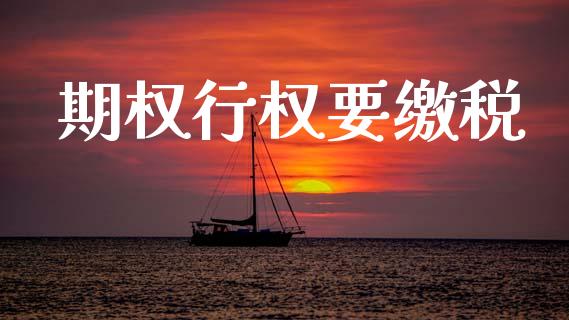 期权行权要缴税_https://m.yjjixie.cn_恒生指数直播平台_第1张