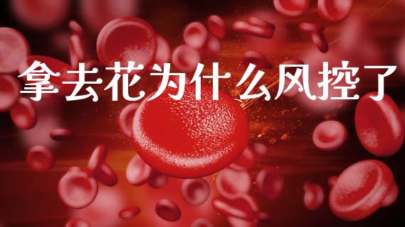拿去花为什么风控了_https://m.yjjixie.cn_纳指直播间_第1张