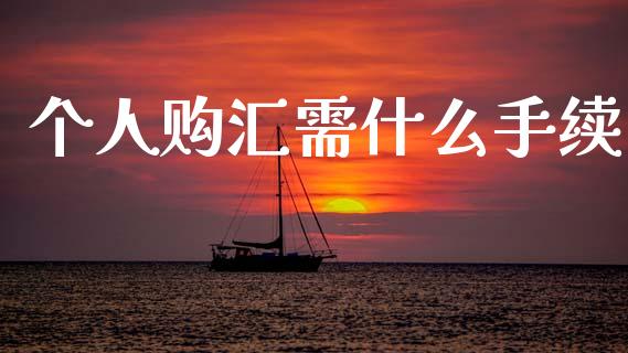 个人购汇需什么手续_https://m.yjjixie.cn_德指在线喊单直播室_第1张
