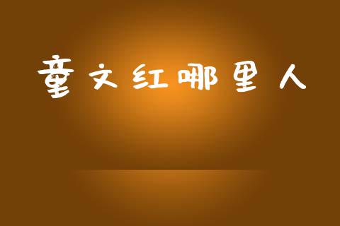 童文红哪里人_https://m.yjjixie.cn_恒指期货直播间喊单_第1张
