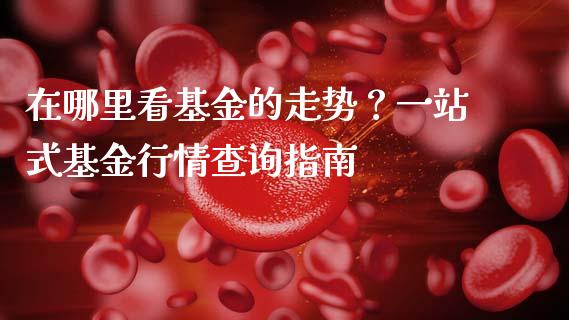 在哪里看基金的走势？一站式基金行情查询指南_https://m.yjjixie.cn_恒生指数直播平台_第1张