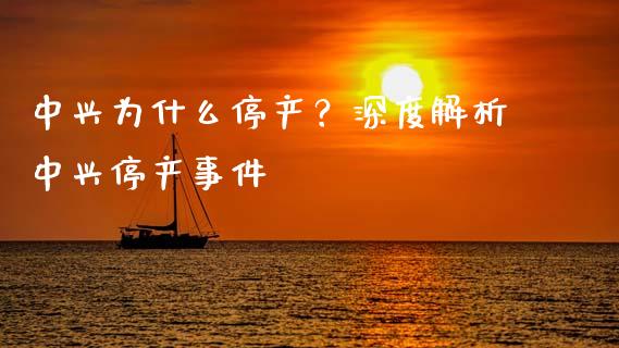 中兴为什么停产？深度解析中兴停产事件_https://m.yjjixie.cn_德指在线喊单直播室_第1张