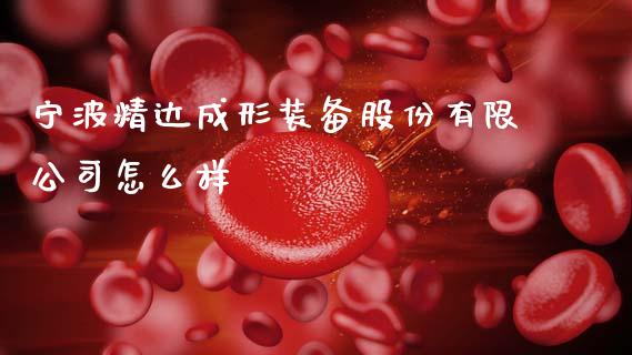 宁波精达成形装备股份有限公司怎么样_https://m.yjjixie.cn_恒生指数直播平台_第1张