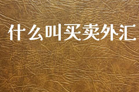 什么叫买卖外汇_https://m.yjjixie.cn_恒指期货直播间喊单_第1张