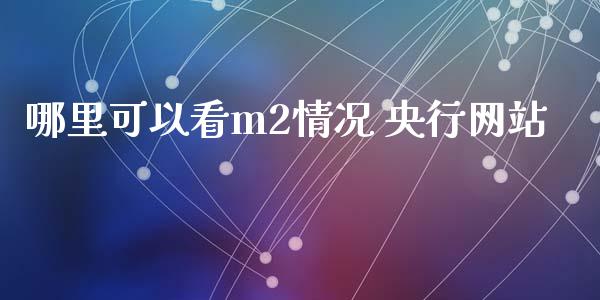 哪里可以看m2情况 央行网站_https://m.yjjixie.cn_恒生指数直播平台_第1张