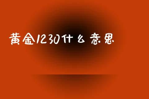 黄金1230什么意思_https://m.yjjixie.cn_恒指期货直播间喊单_第1张