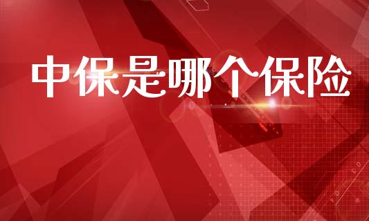 中保是哪个保险_https://m.yjjixie.cn_恒生指数直播平台_第1张