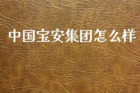 中国宝安集团怎么样_https://m.yjjixie.cn_纳指直播间_第1张
