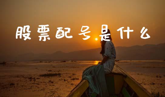 股票配号是什么_https://m.yjjixie.cn_恒生指数直播平台_第1张