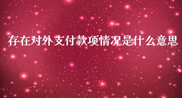 存在对外支付款项情况是什么意思_https://m.yjjixie.cn_纳指直播间_第1张