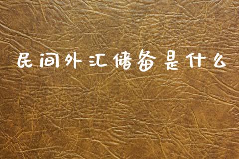 民间外汇储备是什么_https://m.yjjixie.cn_恒指期货直播间喊单_第1张