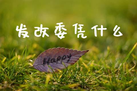发改委凭什么_https://m.yjjixie.cn_德指在线喊单直播室_第1张