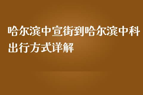 哈尔滨中宣街到哈尔滨中科出行方式详解_https://m.yjjixie.cn_恒生指数直播平台_第1张