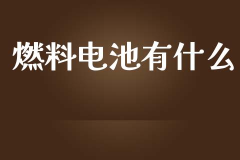 燃料电池有什么_https://m.yjjixie.cn_纳指直播间_第1张