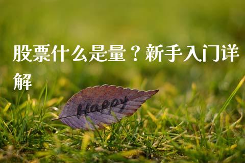 股票什么是量？新手入门详解_https://m.yjjixie.cn_德指在线喊单直播室_第1张