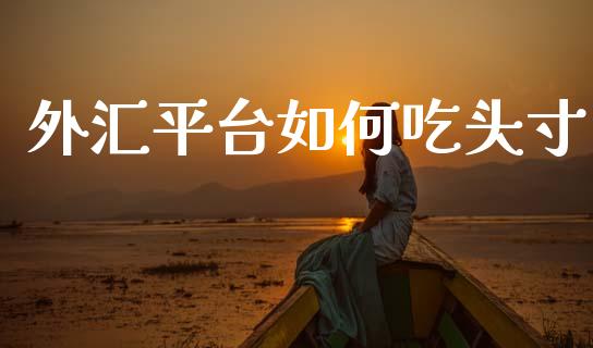 外汇平台如何吃头寸_https://m.yjjixie.cn_纳指直播间_第1张