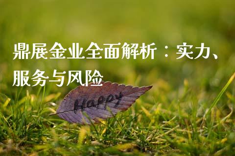 鼎展金业全面解析：实力、服务与风险_https://m.yjjixie.cn_恒生指数直播平台_第1张