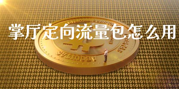 掌厅定向流量包怎么用_https://m.yjjixie.cn_恒生指数直播平台_第1张