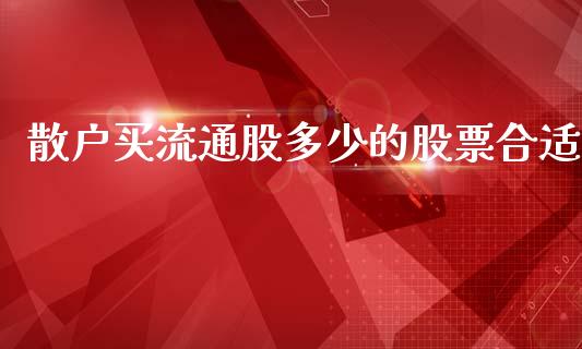 散户买流通股多少的股票合适_https://m.yjjixie.cn_恒生指数直播平台_第1张