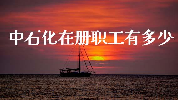 中石化在册职工有多少_https://m.yjjixie.cn_恒生指数直播平台_第1张