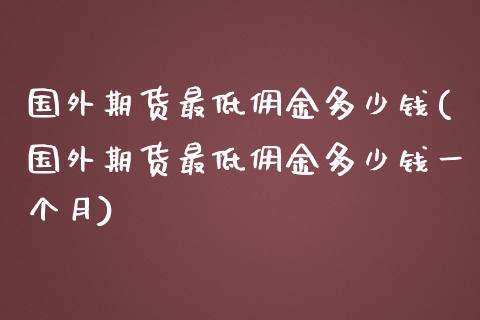 国外期货最低佣金多少钱(国外期货最低佣金多少钱一个月)_https://m.yjjixie.cn_恒生指数直播平台_第1张