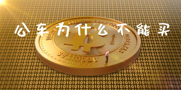 公车为什么不能买_https://m.yjjixie.cn_德指在线喊单直播室_第1张