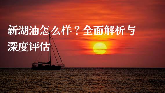新湖油怎么样？全面解析与深度评估_https://m.yjjixie.cn_德指在线喊单直播室_第1张