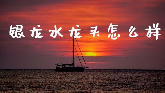 银龙水龙头怎么样_https://m.yjjixie.cn_纳指直播间_第1张
