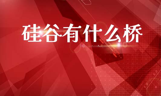 硅谷有什么桥_https://m.yjjixie.cn_恒指期货直播间喊单_第1张