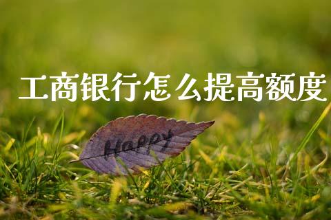 工商银行怎么提高额度_https://m.yjjixie.cn_纳指直播间_第1张
