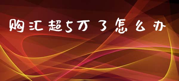 购汇超5万了怎么办_https://m.yjjixie.cn_纳指直播间_第1张