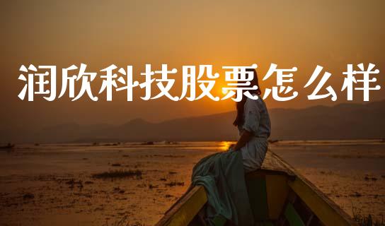 润欣科技股票怎么样_https://m.yjjixie.cn_恒生指数直播平台_第1张