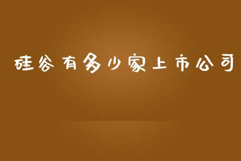 硅谷有多少家上市公司_https://m.yjjixie.cn_恒生指数直播平台_第1张