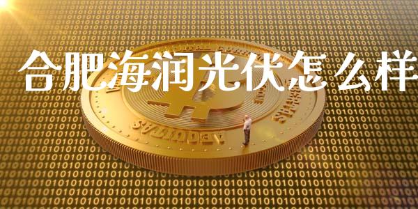 合肥海润光伏怎么样_https://m.yjjixie.cn_恒生指数直播平台_第1张