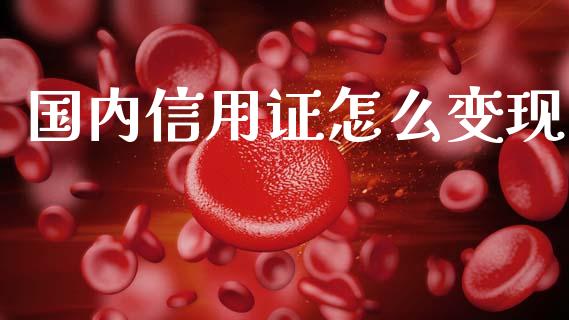 国内信用证怎么变现_https://m.yjjixie.cn_恒指期货直播间喊单_第1张