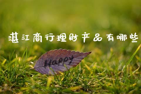 湛江商行理财产品有哪些_https://m.yjjixie.cn_恒生指数直播平台_第1张
