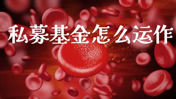 私募基金怎么运作_https://m.yjjixie.cn_德指在线喊单直播室_第1张