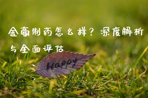 金豪制药怎么样？深度解析与全面评估_https://m.yjjixie.cn_德指在线喊单直播室_第1张