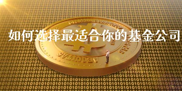 如何选择最适合你的基金公司_https://m.yjjixie.cn_纳指直播间_第1张
