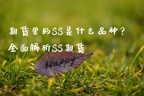 期货里的SS是什么品种？全面解析SS期货_https://m.yjjixie.cn_纳指直播间_第1张