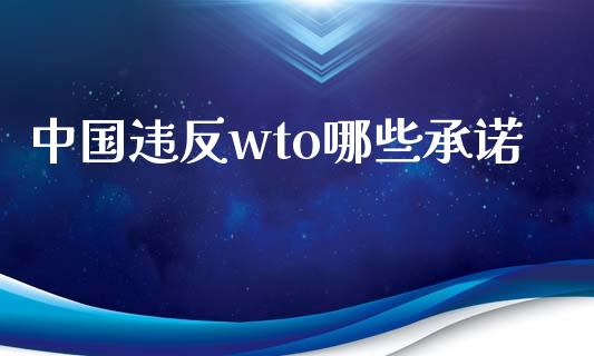 中国违反wto哪些承诺_https://m.yjjixie.cn_恒指期货直播间喊单_第1张