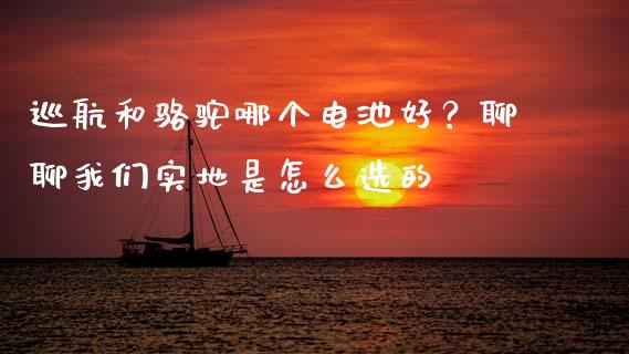 巡航和骆驼哪个电池好？聊聊我们实地是怎么选的_https://m.yjjixie.cn_纳指直播间_第1张