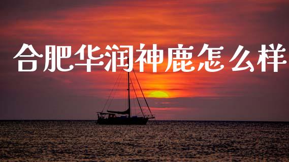 合肥华润神鹿怎么样_https://m.yjjixie.cn_恒生指数直播平台_第1张