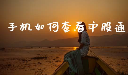 手机如何查看沪股通_https://m.yjjixie.cn_恒生指数直播平台_第1张