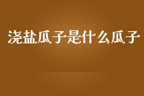 浇盐瓜子是什么瓜子_https://m.yjjixie.cn_恒生指数直播平台_第1张