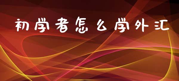 初学者怎么学外汇_https://m.yjjixie.cn_纳指直播间_第1张