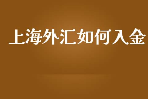 上海外汇如何入金_https://m.yjjixie.cn_恒生指数直播平台_第1张