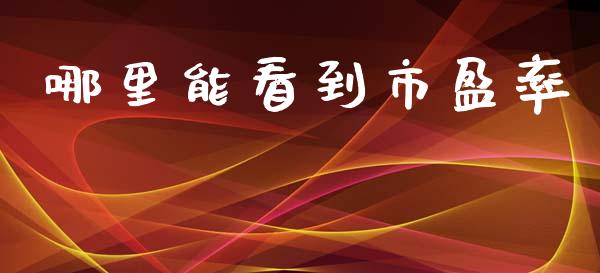 哪里能看到市盈率_https://m.yjjixie.cn_德指在线喊单直播室_第1张